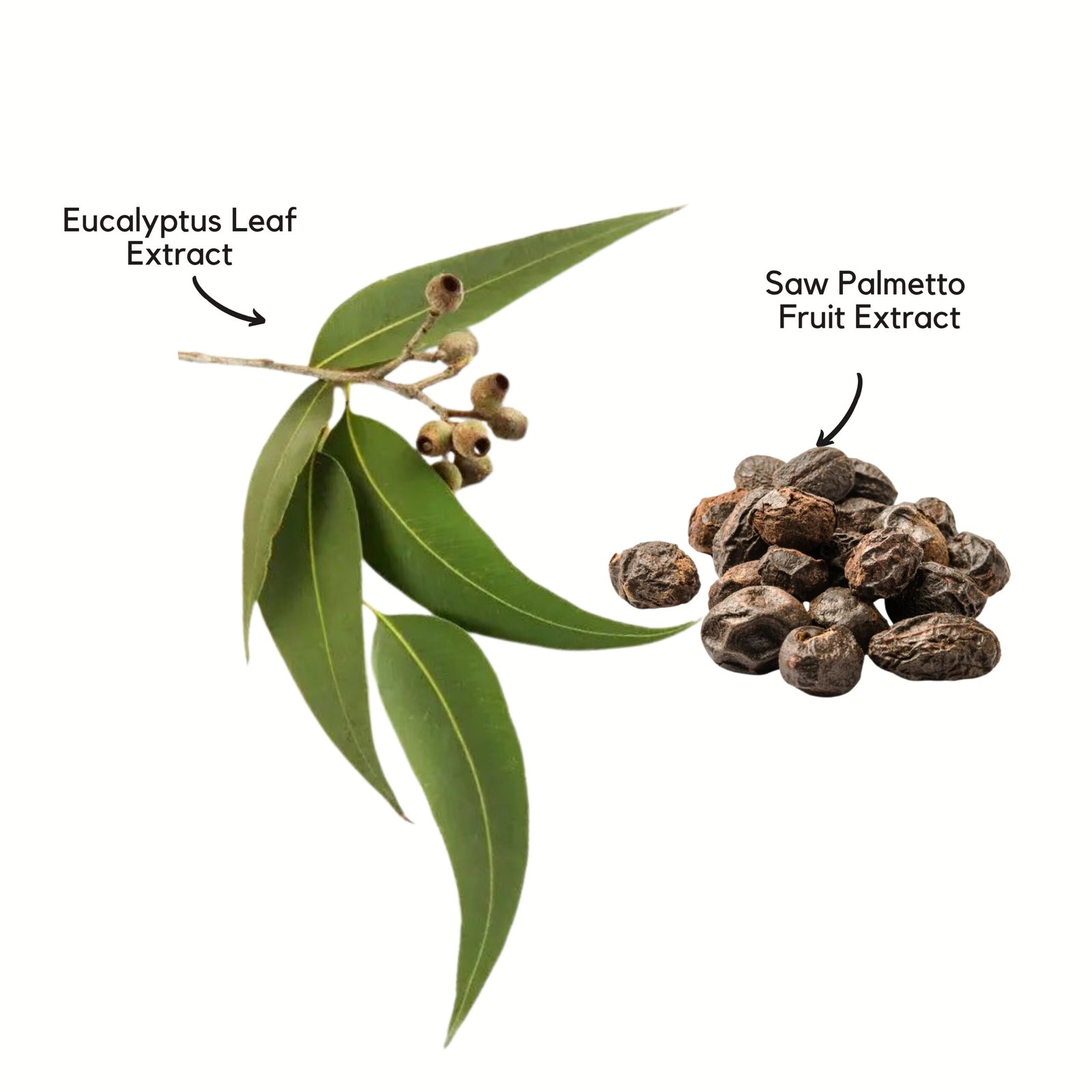 Dr. Elie Organics Purifying Shampoo (300ml) - Image 3