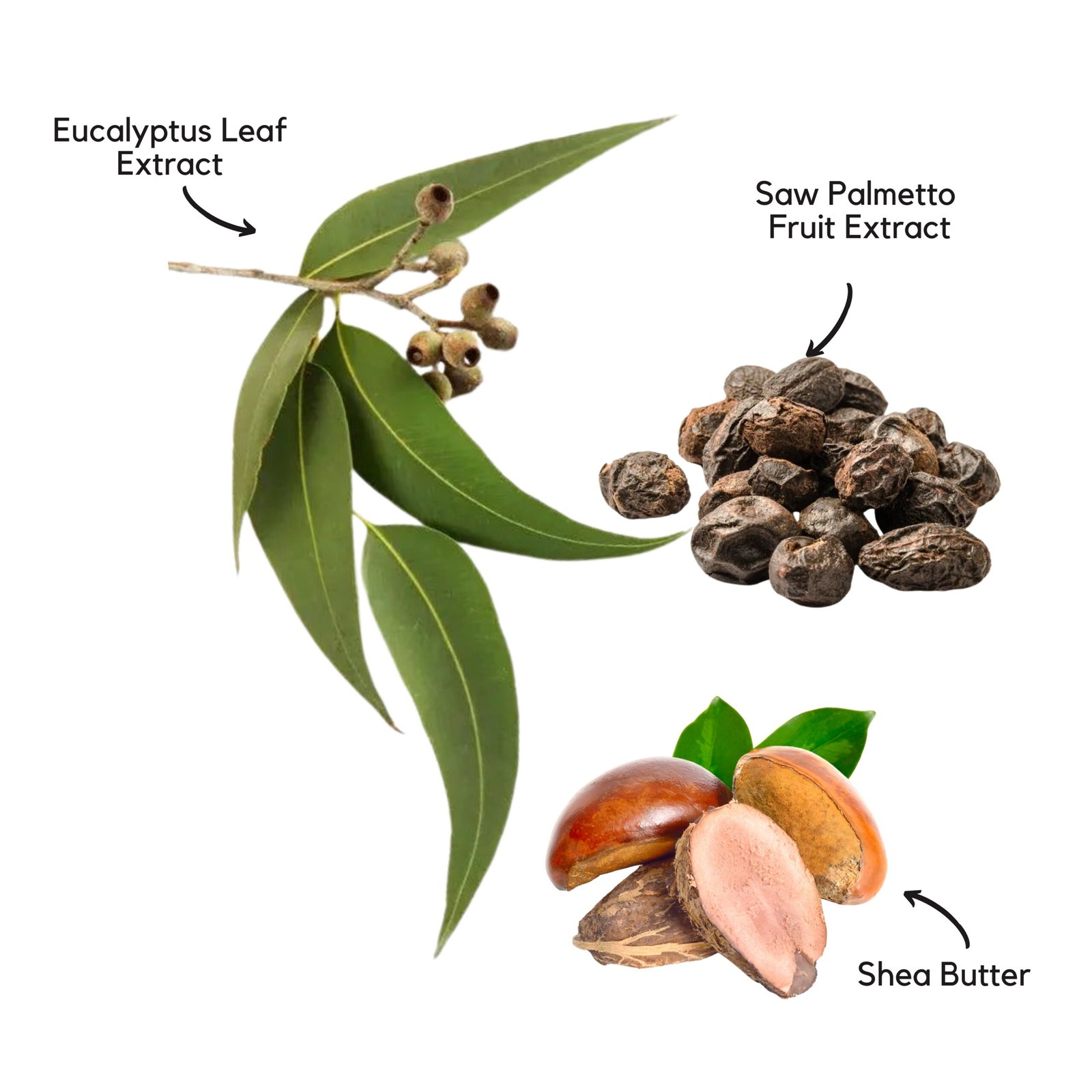 Persian Herbs Purifying Hair Conditioner | 300ml - Image 6