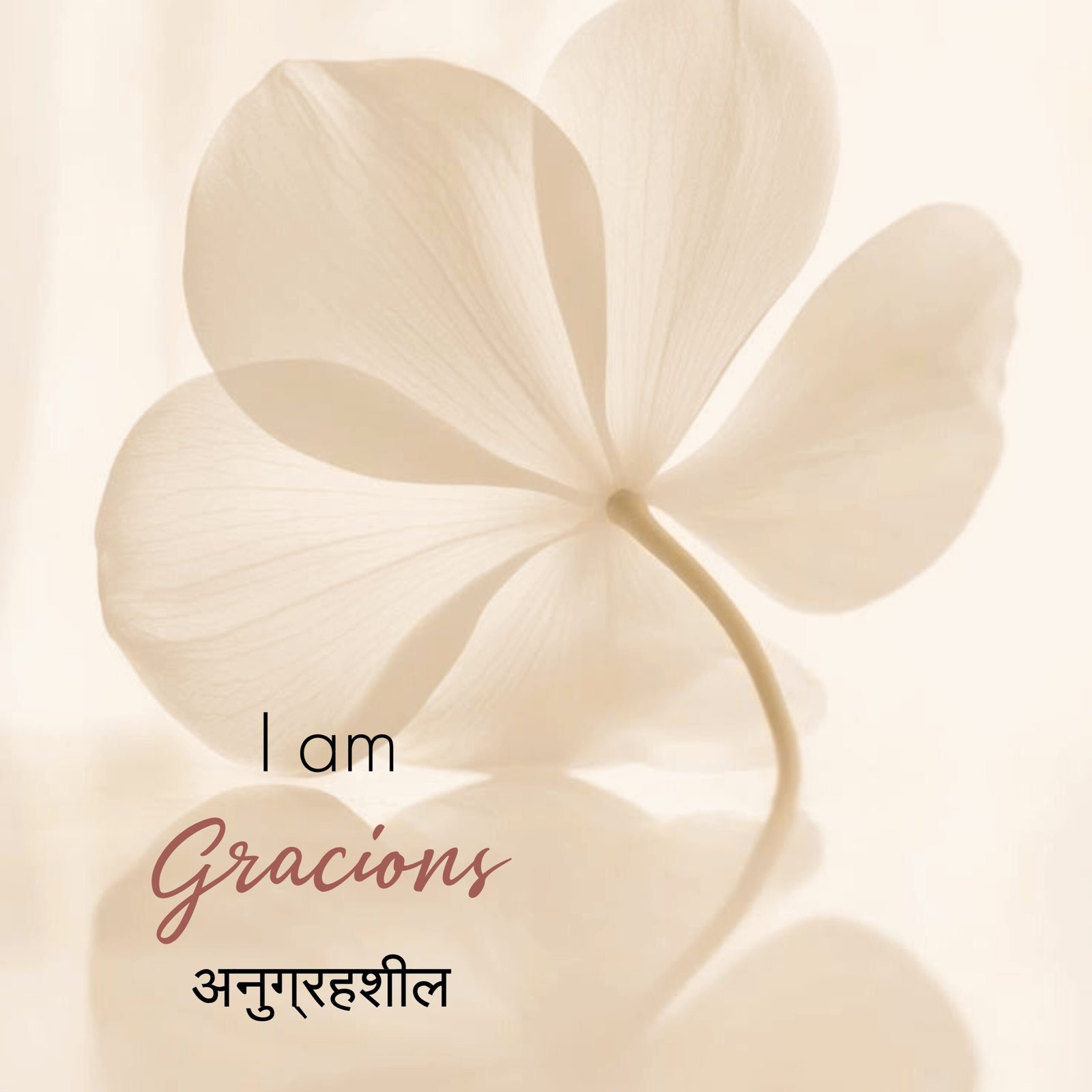 Organic Beard & Before Shave Oil (50ml) - Image 8