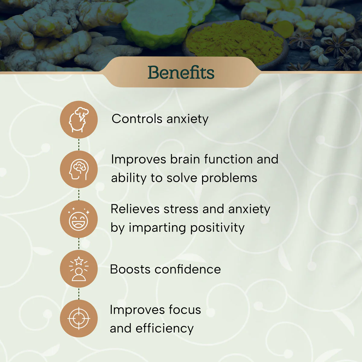 Shanti Charya Granules - Kadha for Stress Relief - Image 2