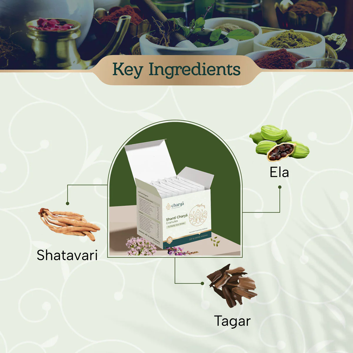 Shanti Charya Granules - Kadha for Stress Relief - Image 4