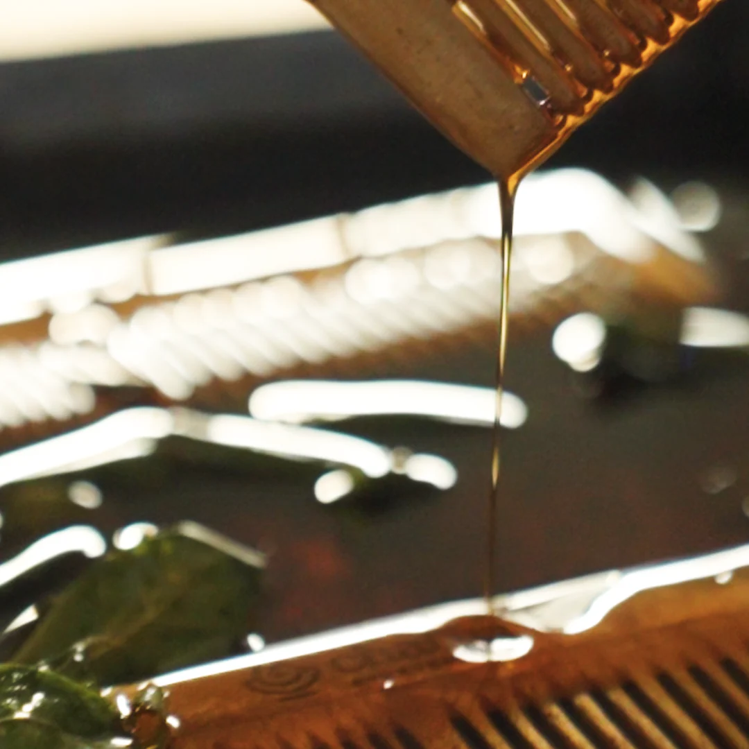 Charya Oil Treated Neem Comb – Detangler - Image 5