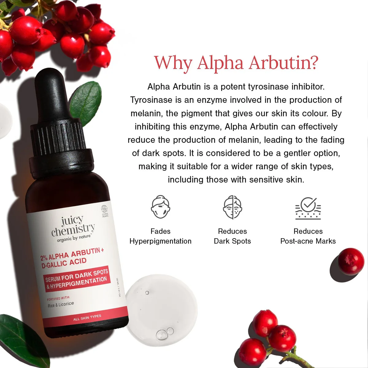 Juicy Chemistry 2% Alpha Arbutin + D-Gallic Acid Natural Face Serum - Image 5