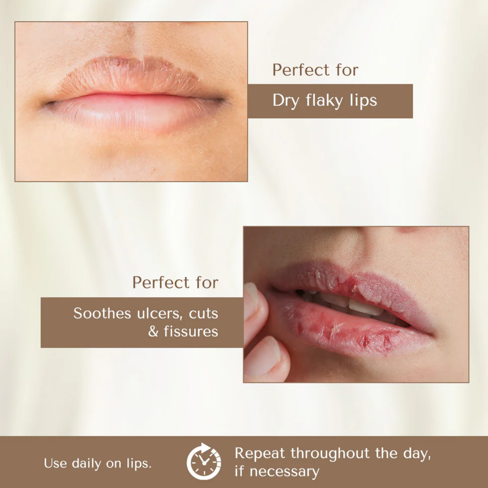 Barva Natural Ghee-enriched Lip Balm - 5g | best lipbalm for women & men | no tint - Image 6