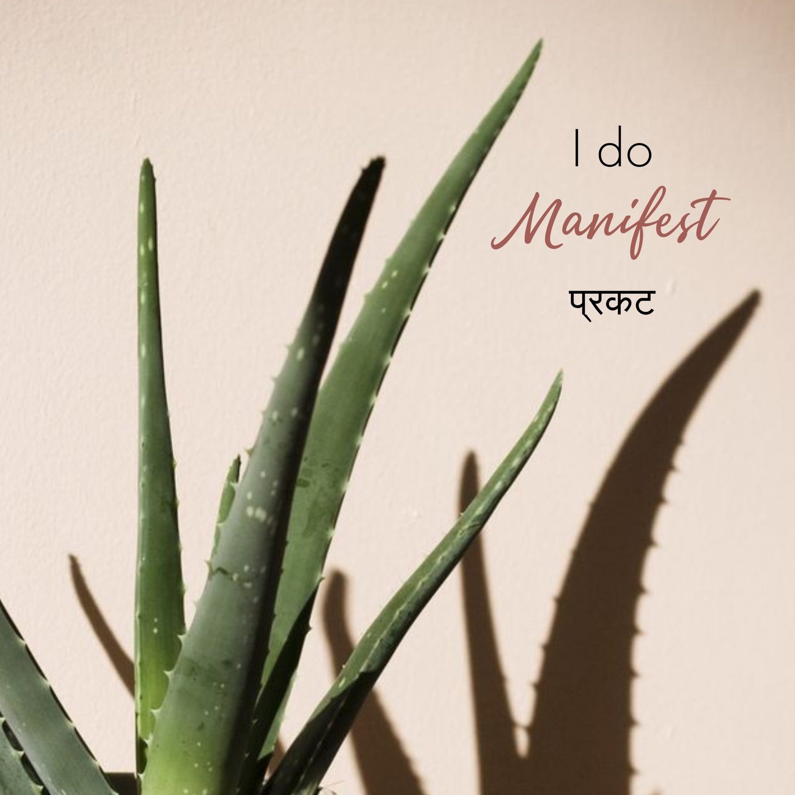 Aloe Vera Gel (300ml) - Image 7
