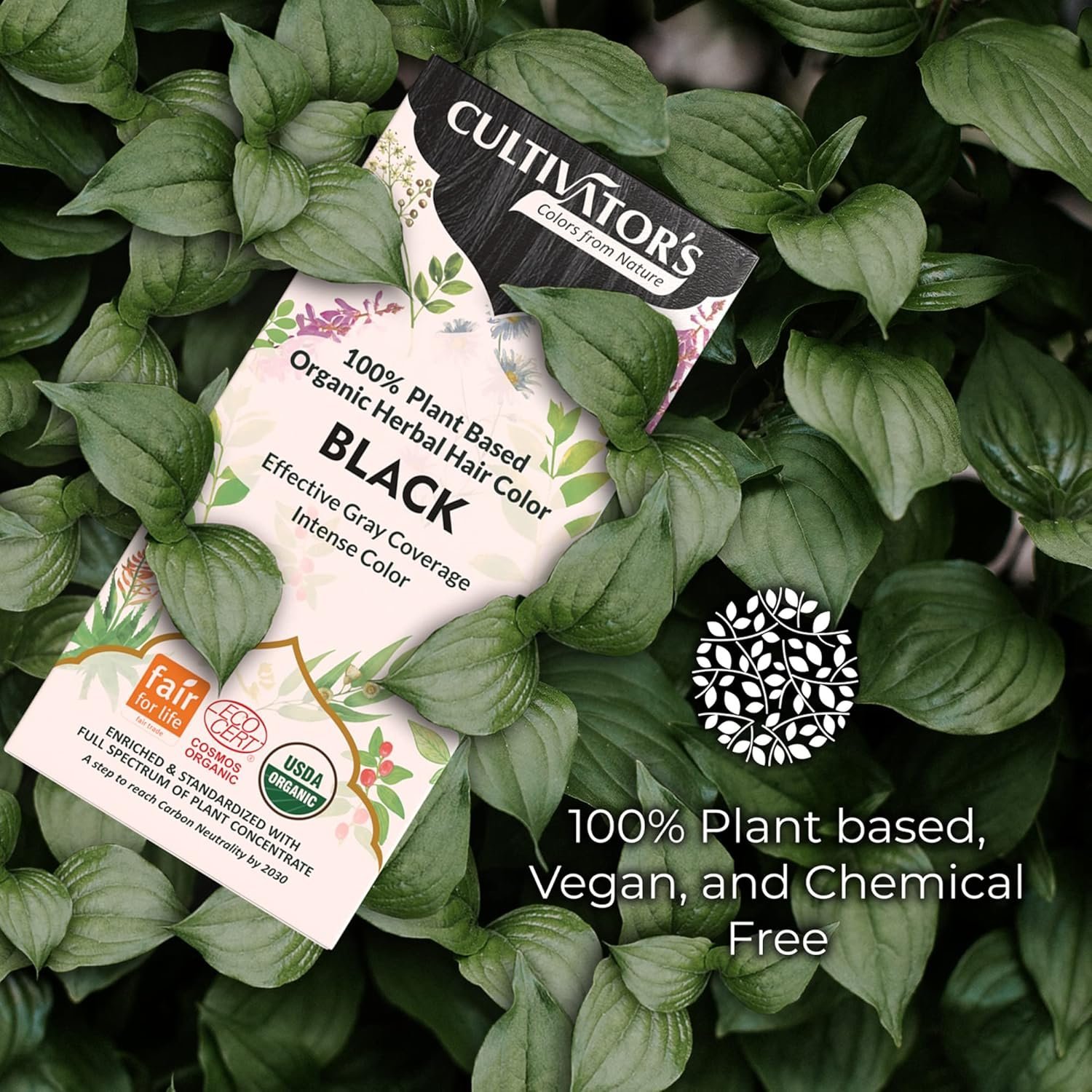 Cultivator's Organic Hair Colour - Organic Herbal Colour for Women and Men - Ammonia Free Hair Coloring Powder - Natural Colour Without Chemical, (Black) - 100g - Image 2